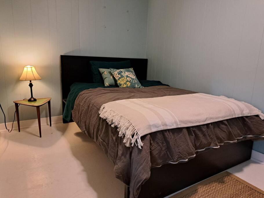 Blue Dog Accommodations Eastend Экстерьер фото