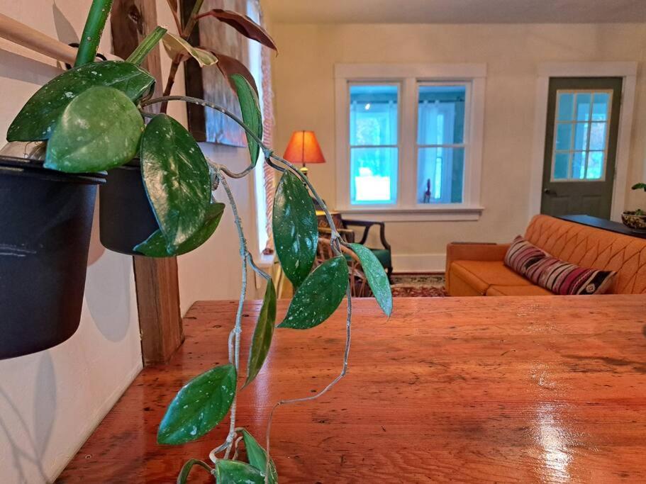 Blue Dog Accommodations Eastend Экстерьер фото